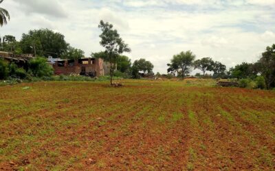 Making the Invisible Visible around an RO Plant